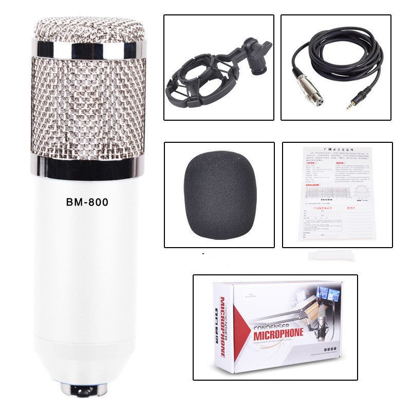 BM800 large diaphragm condenser microphone