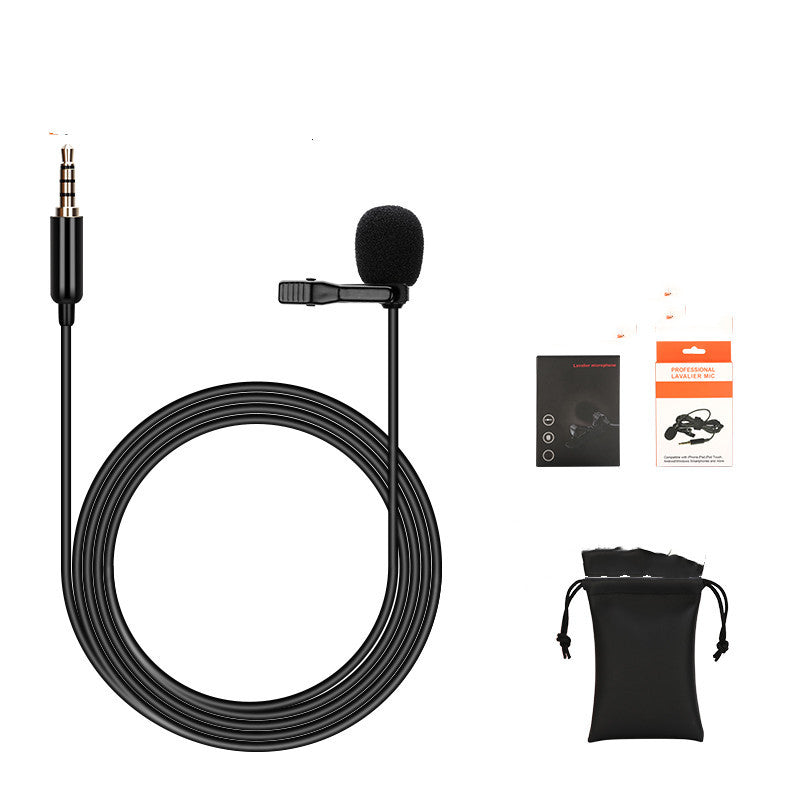 Professional voice-activated microphone