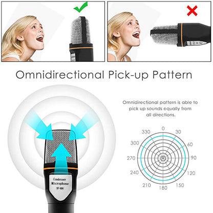 Computer voice microphone with bracket