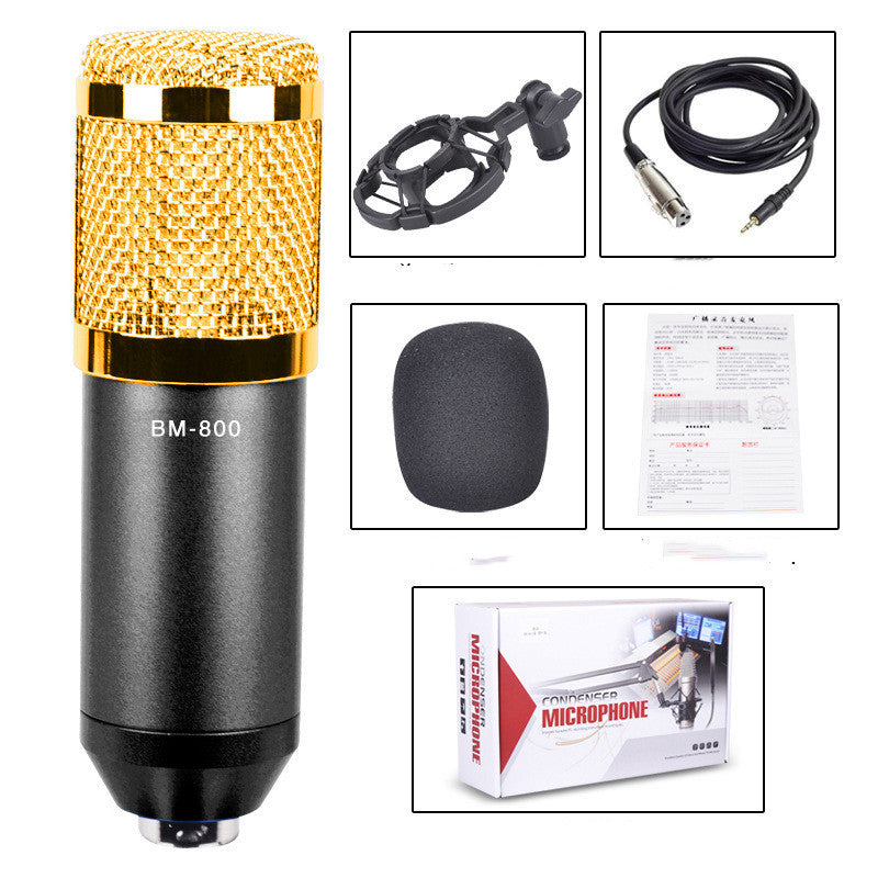 BM800 large diaphragm condenser microphone