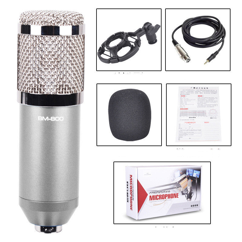 BM800 large diaphragm condenser microphone