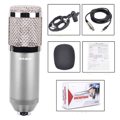 BM800 large diaphragm condenser microphone